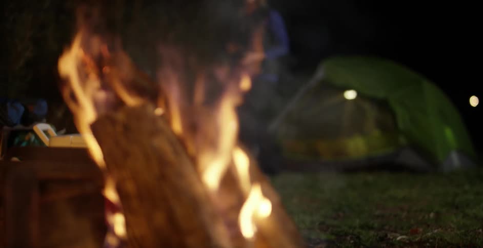 Fire burning on a log