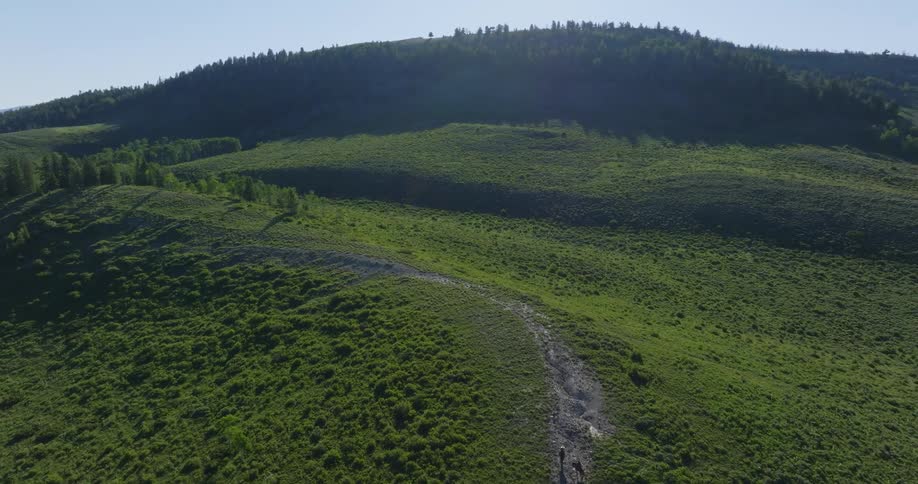 Aerial view of a path across a grassy hill