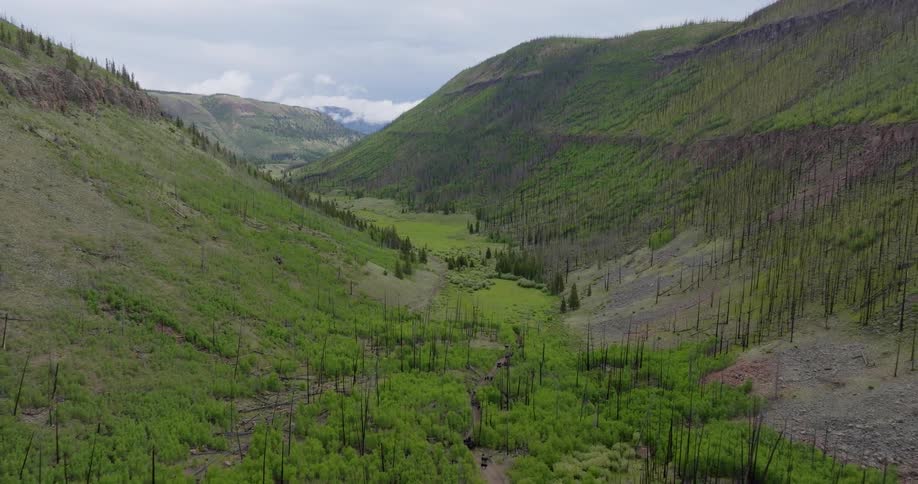 The mountains are covered with green