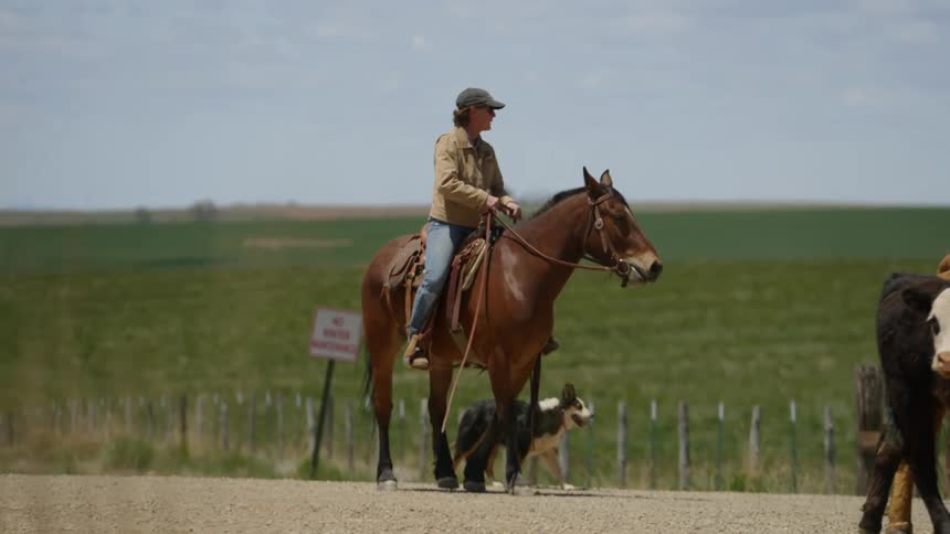 A clip of a lady riding a horse in the farm
