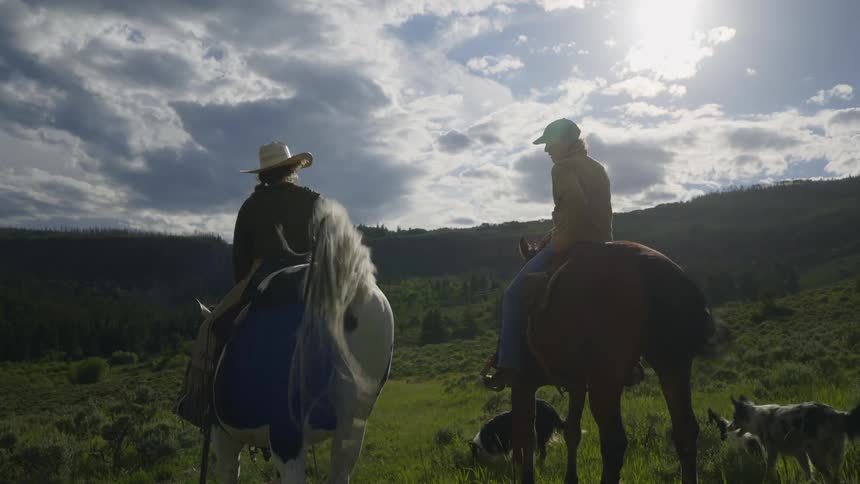Two horse riders standing still and talking to each other on a grass field while three dogs move around them