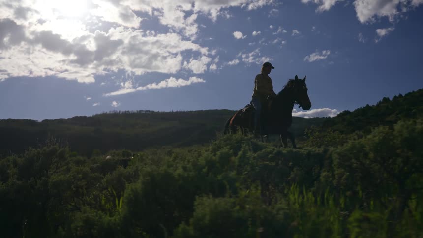 Dogs follow a woman riding through a field near the hills on a cloudy day