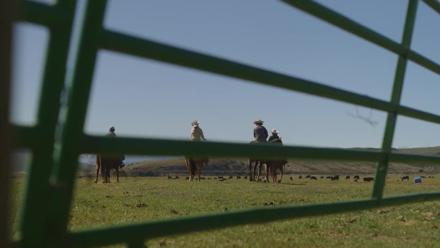Small group of people riding horses in a field