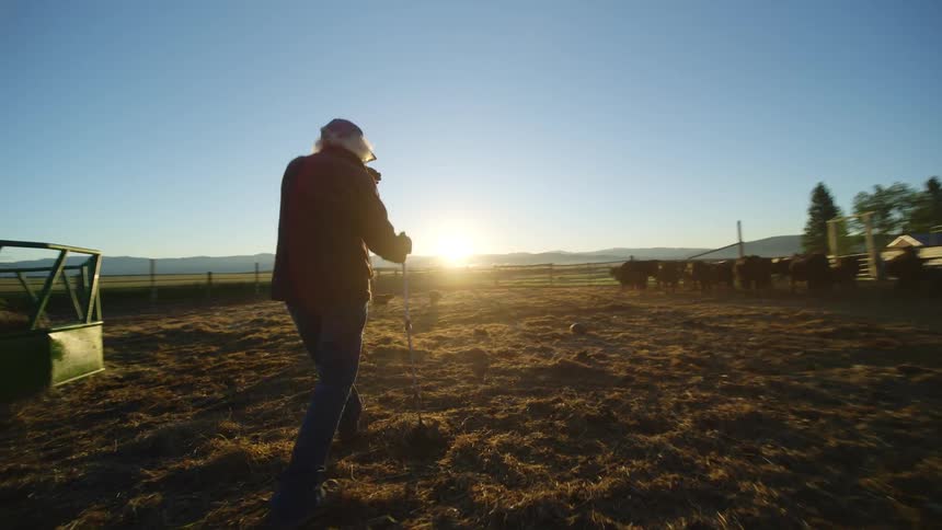 Two people one with a cane walking on a farm with animals