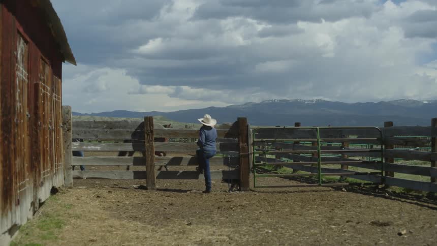 Woman with her back to a paddock watching a horse in a barn