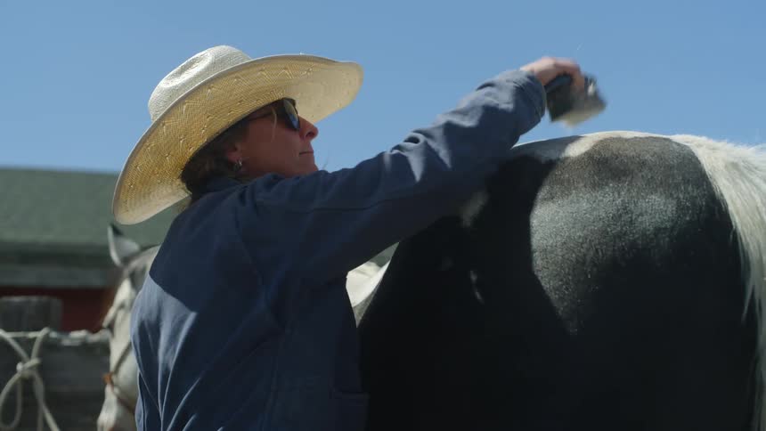 A woman in a cowboy hat brushes a horses hair