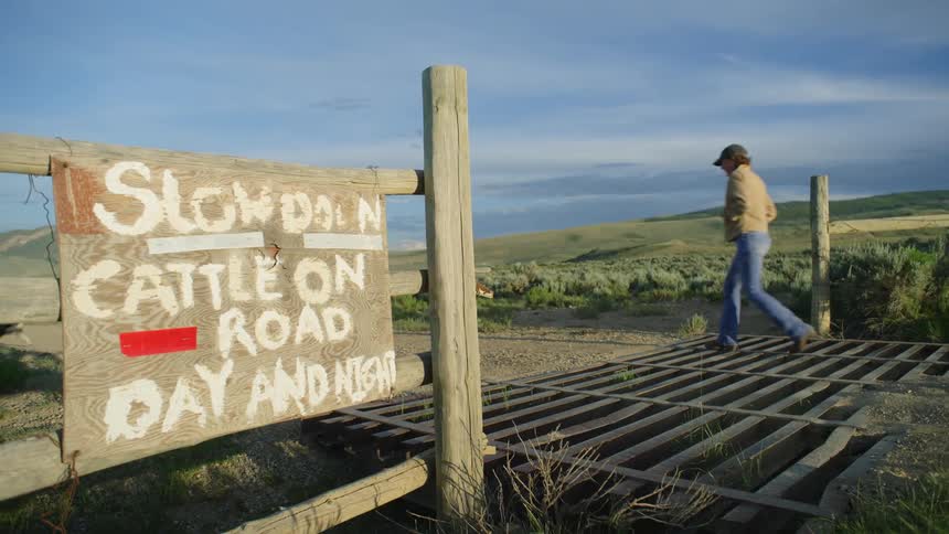 A clip of a person and dogs walking on the road