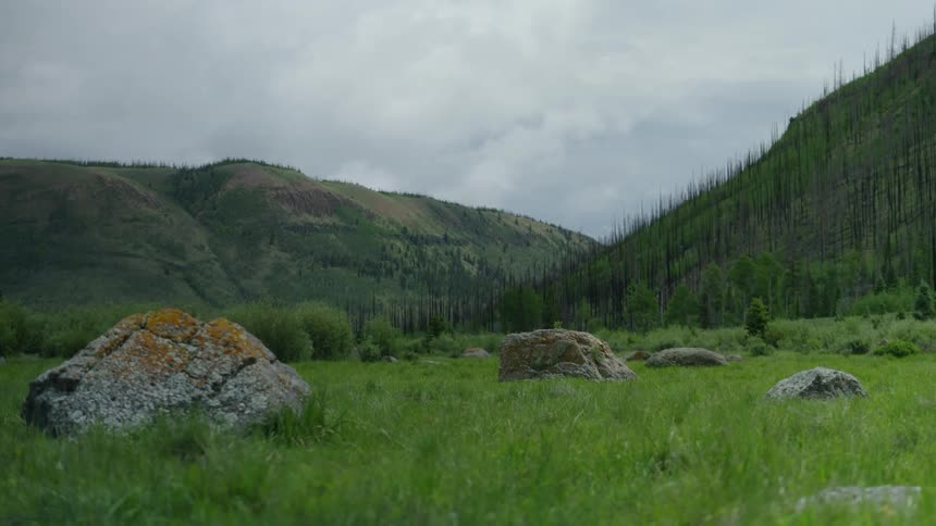 Several boulders covered in moss lie in a grassy field near mountains and forests