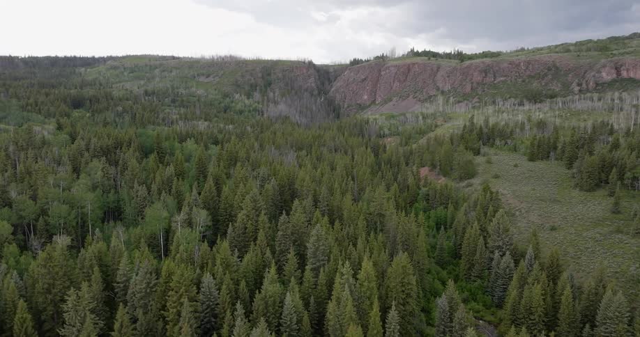 Aerial panorama of a mountain forest