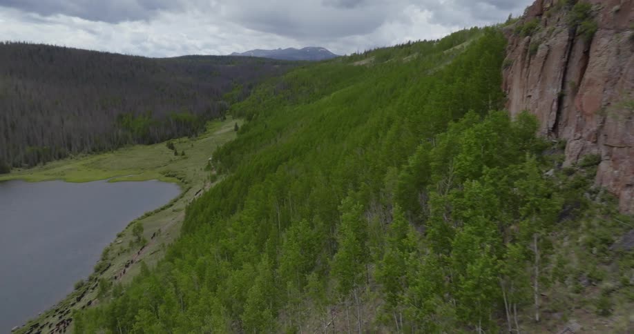 Farm animals move along a lake shore near mountains and forests