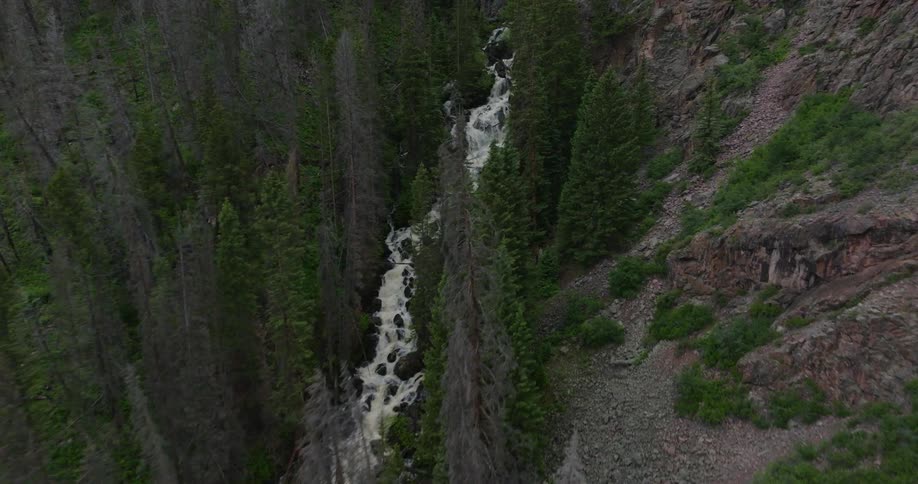 River rapids crossing a forest