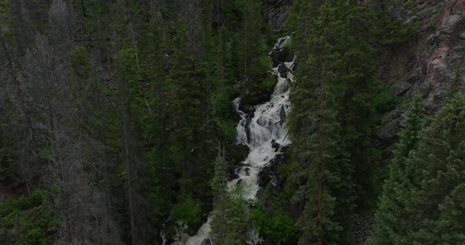 River rapids cascading across a forest