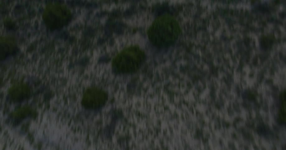 Aerial panorama of a mountain with low vegetation