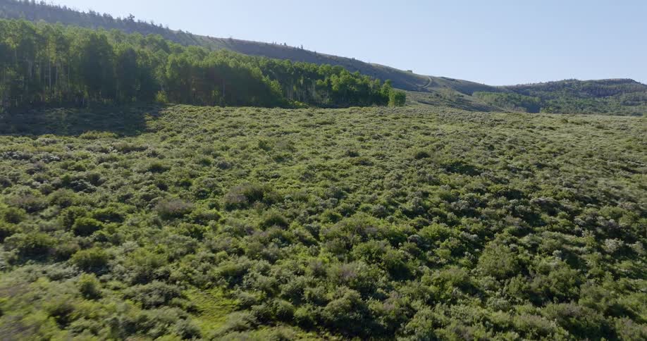 Aerial panorama of mountain ranges with vegetation on a cloudless blue sky day