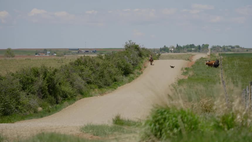 A person riding a horse on a dirt road and there is a dog controlling a herd on the side of the road