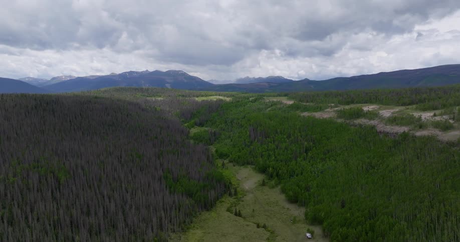 An aerial clip of the woods