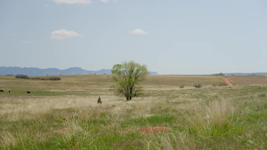 A clip of an horse rider out in the open land