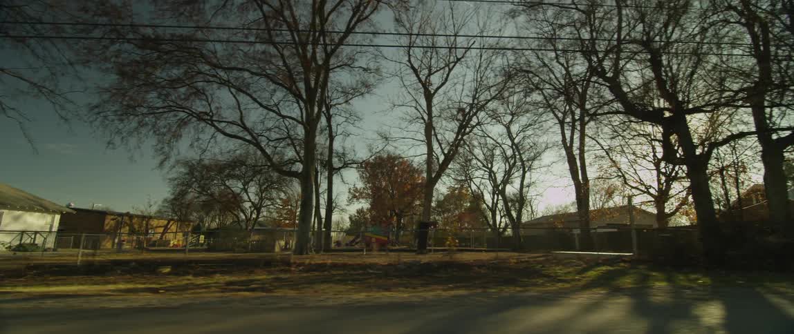 Light filtering through trees in a neighborhood