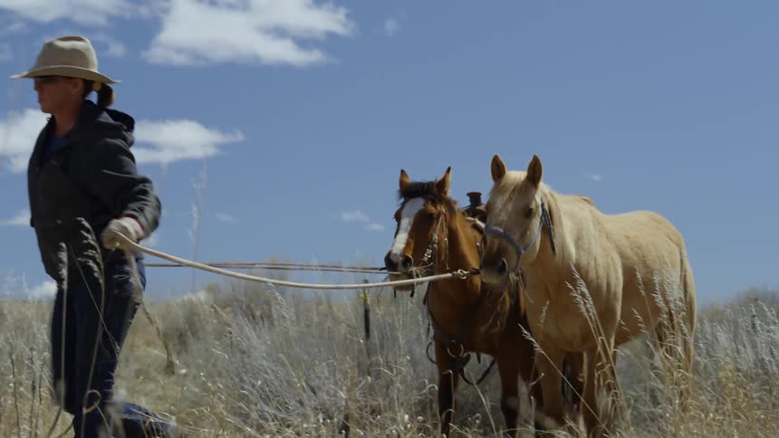 Woman walking carrying two horses on a rope in a dry vegetation environment