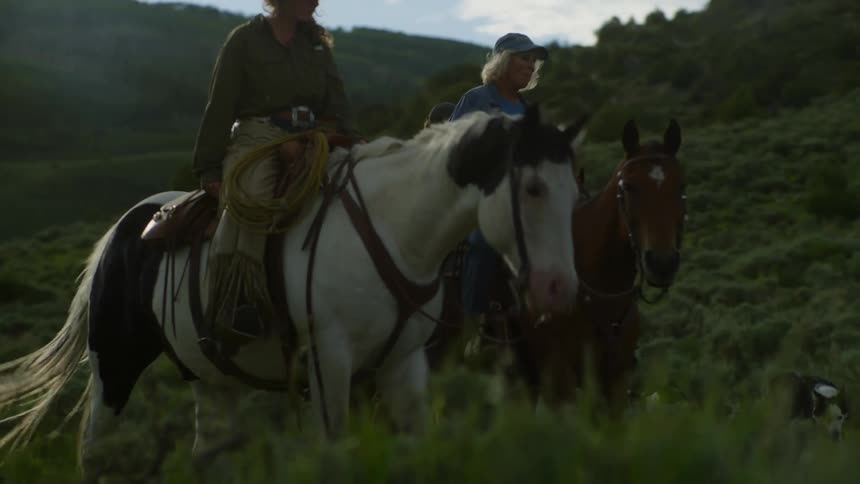 Two women and a man ride horses across a grassy plain as dogs follow