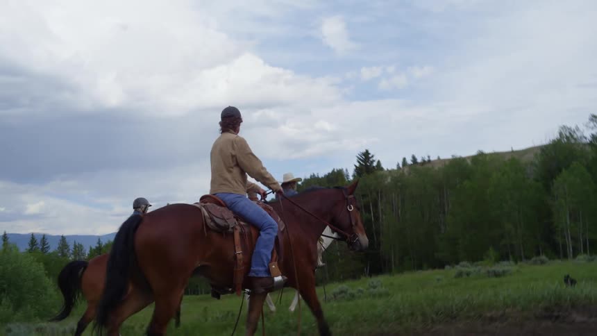 Three cowboys ride horses across a grass plain surrounded by a forest