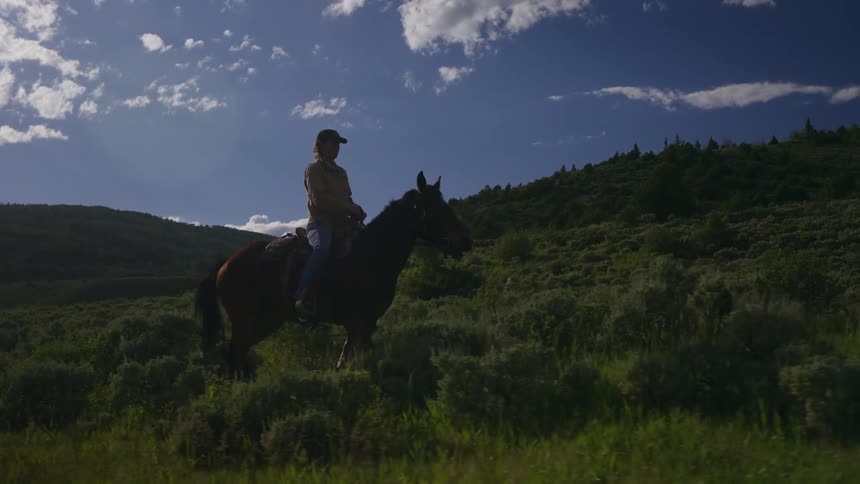 A woman riding a galloping horse on a grassy field followed by a running dog