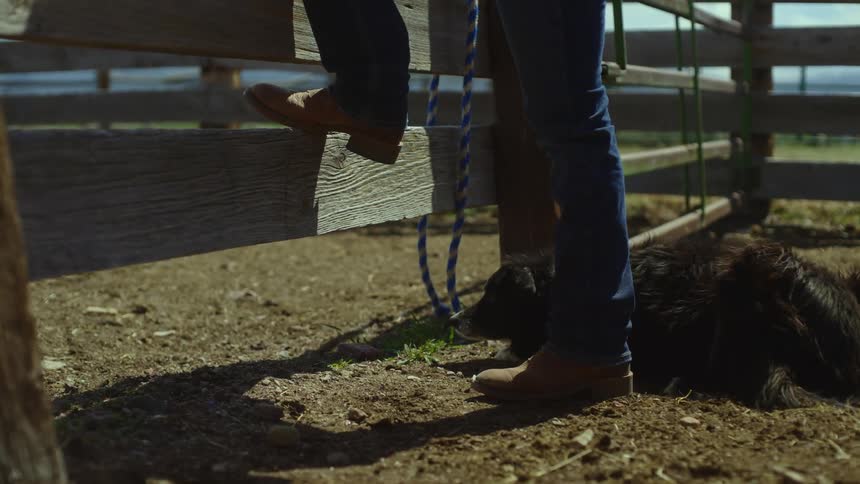 Dog lying next to a persons legs in front of a wooden fence on the farm