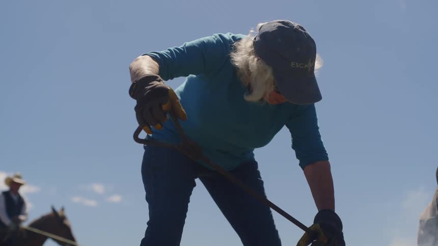 Woman on farm using long stick from which smoke emerges