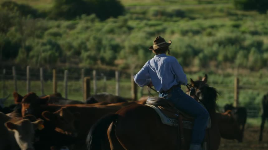 Woman riding a horse among cows on a farm