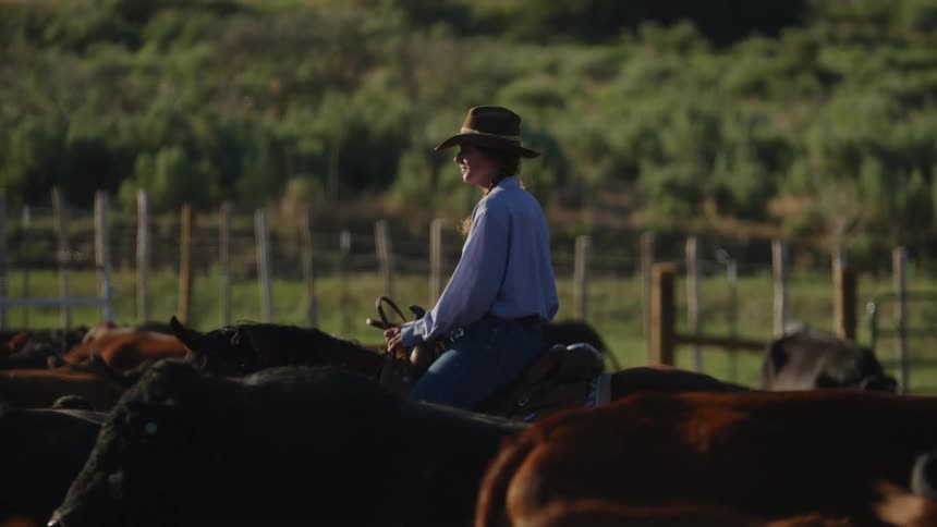 Woman in hat sitting on a horse next to oxen on a farm