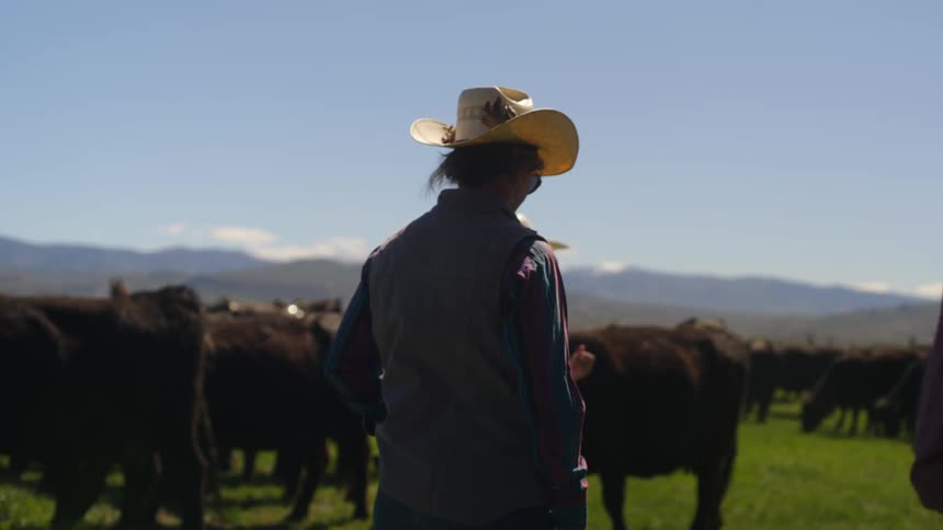 Two people in a pasture with angus during the day