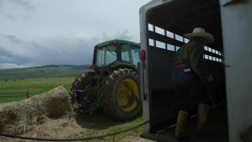 A cowboy leads a horse to a trailer for transport while a dog watches in the background