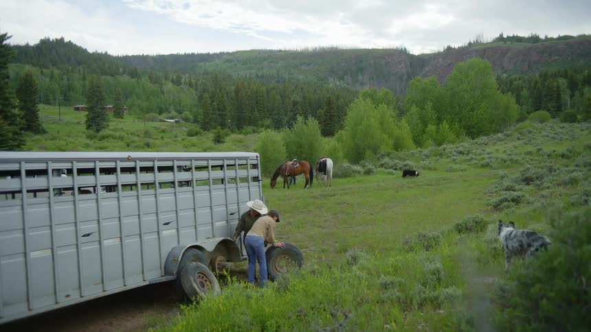 Two cowboys change a tire on a horse trailer while dogs and horses stand nearby on a grassy plain
