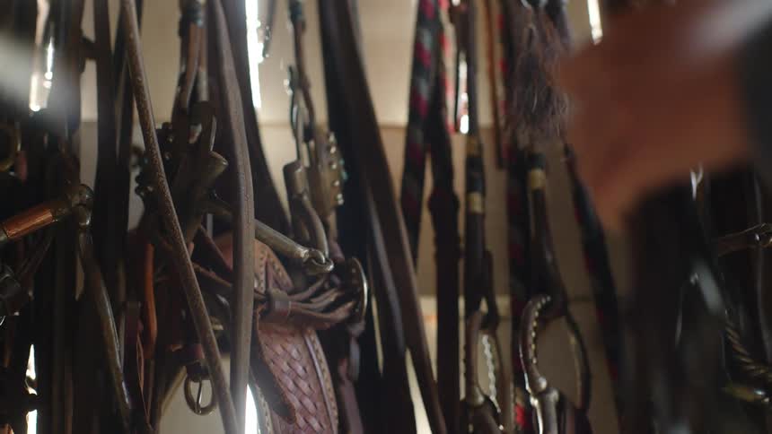 Sun glares into the room while a person picks up horse tack
