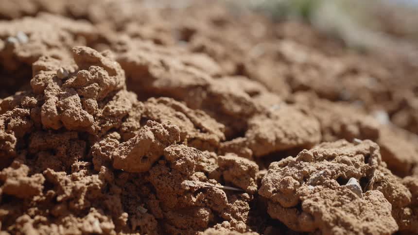 A soil full of dried mud