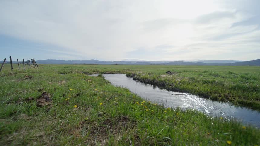 A clip of a flowing stream in the open nature
