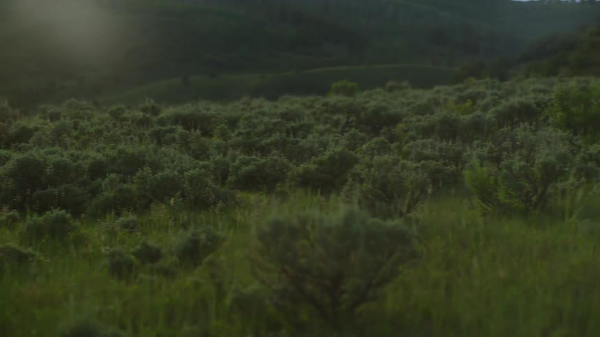 Plate of a mountain with vegetation and the suns reflection