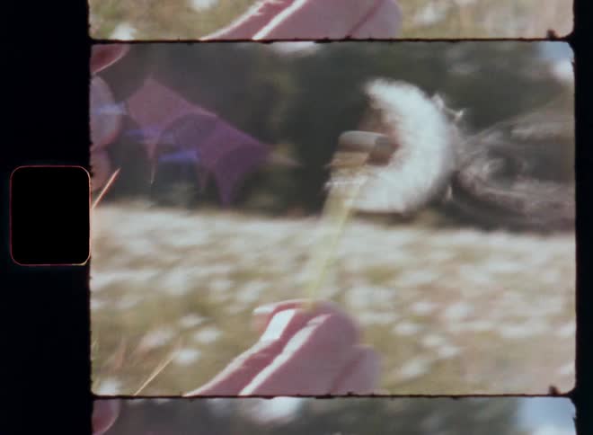 Close up of a person blowing up dandelion seeds on the wind captured on vintage film