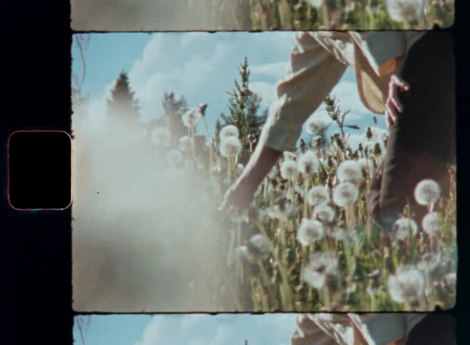 Woman in a garden picking a dandelion flower and blowing on it