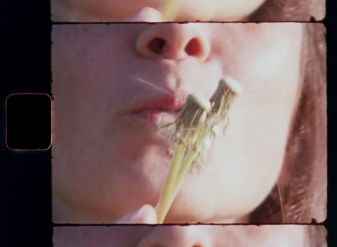A close up film clip of a lady blowing a flower