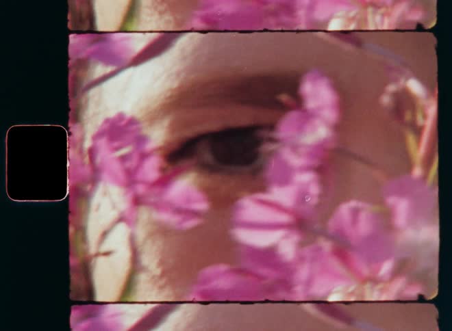 Portrait of a woman’s face amidst pink flowers that opens and closes her eyes and looks around while standing outside in the garden or field of wild pink fireweed flowers blossoming on a warm sunny morning with hart-warming summer vibes