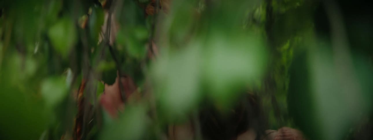Smiling redhead woman among green branches and leaves