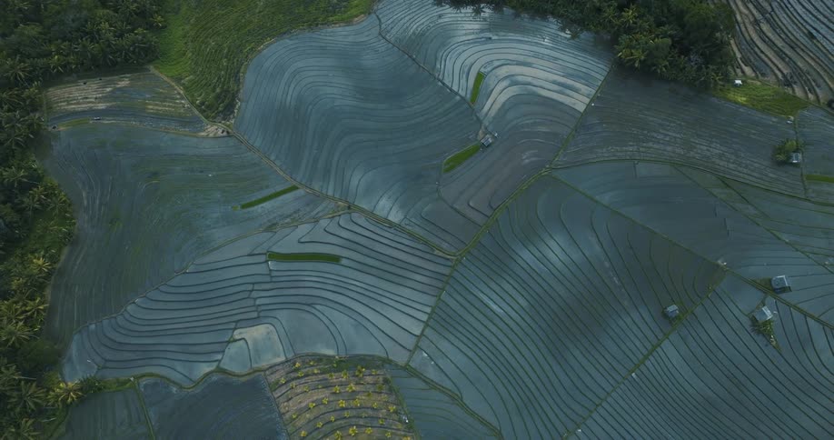 Aerial view of terraced agricultural fields