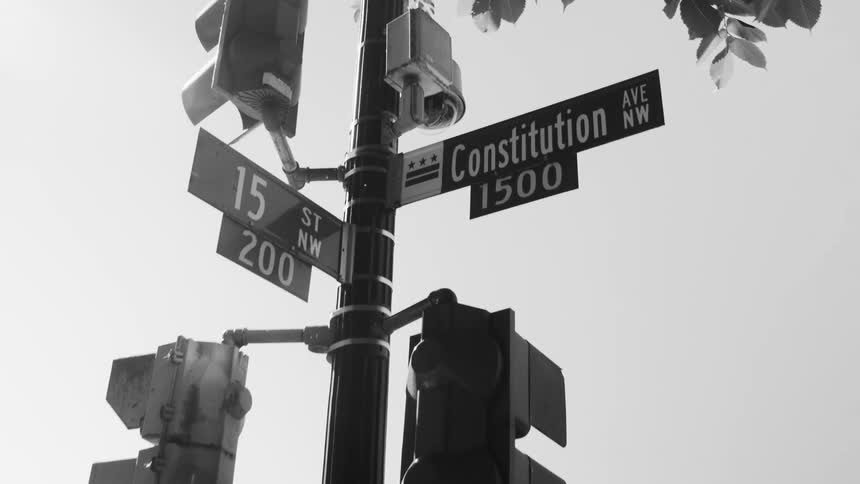 Signage on a pole next to a tree in the city