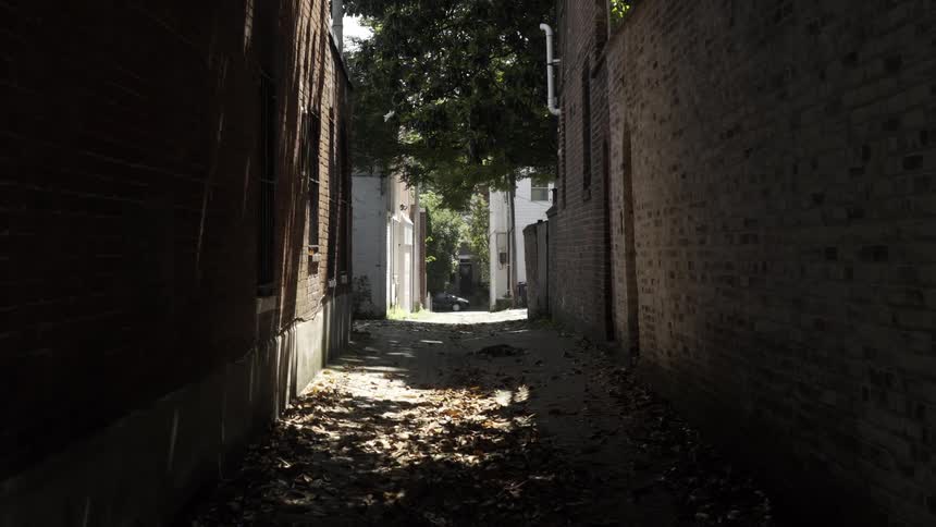 An alley with a path full of dried flowers between walls of brick houses
