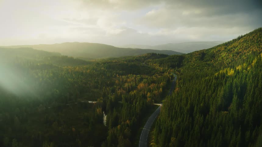 Landscape with reflection of sunlight on a morning highway between mountains and surrounded by conifers