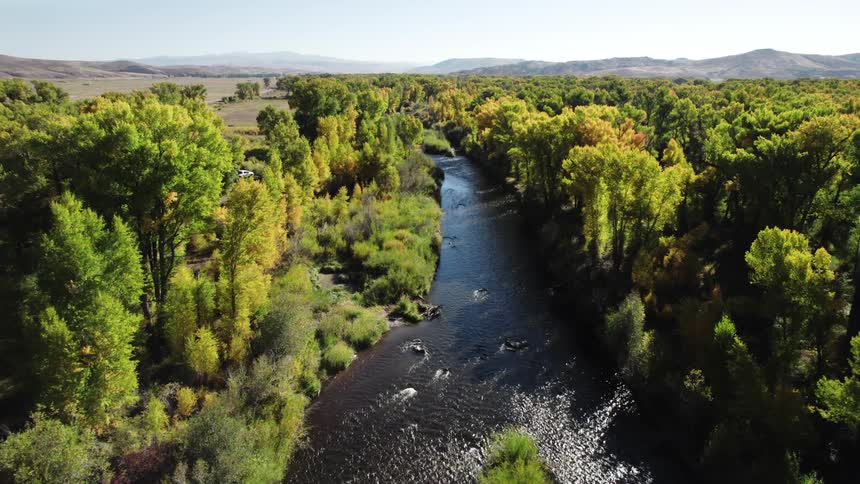 River meandering through a densely forested valley with hills in the background