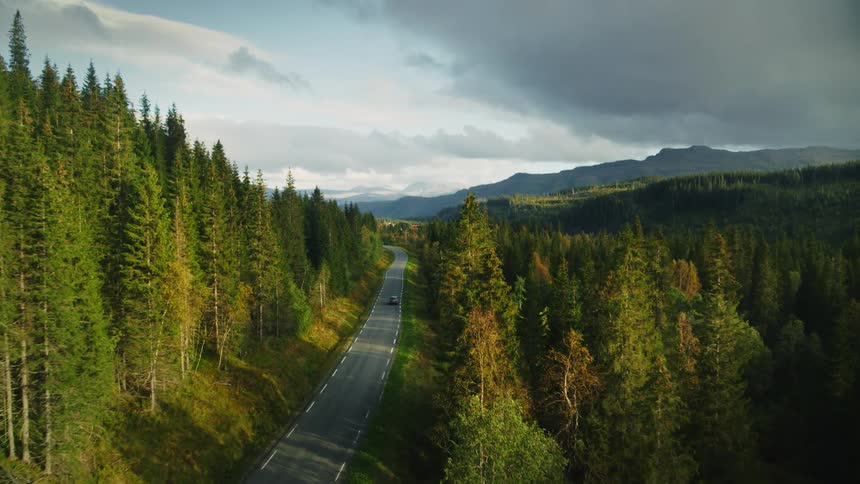 Aerial view of a highway with a car traveling surrounded by mountains and coniferous forests