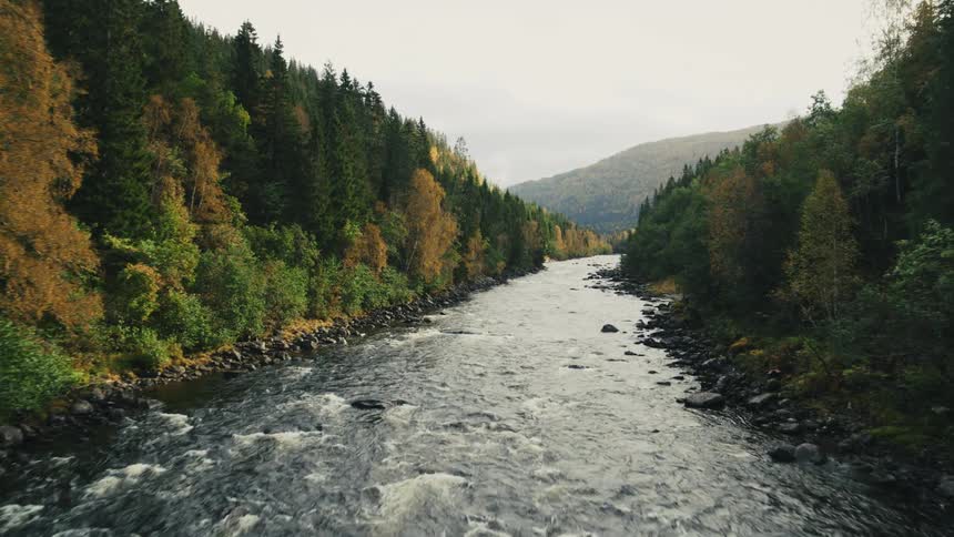 A river flows between autumn trees