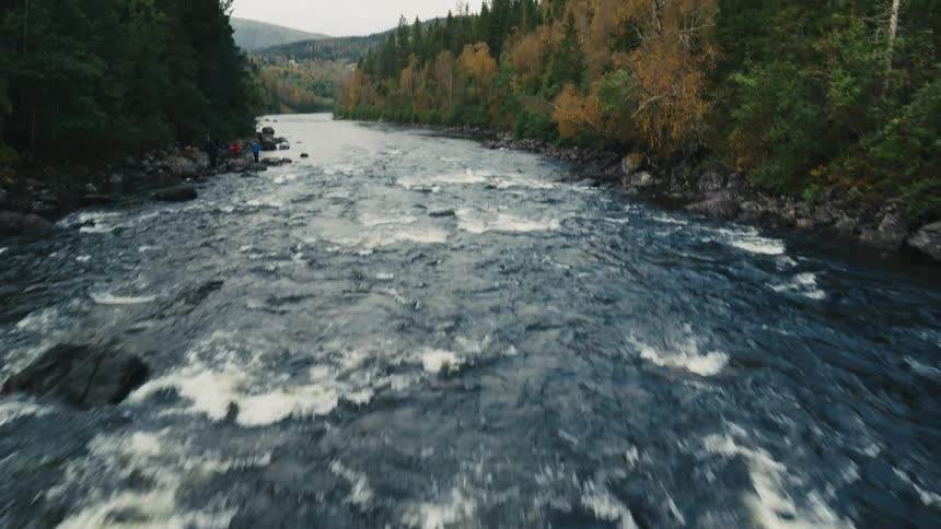 A rough river runs through some trees